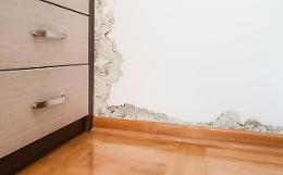 Infiltrazioni d’acqua in condominio: come individuare le responsabilità e chi deve risarcire i danni