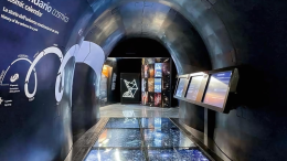 I musei di Torino che non puoi perderti