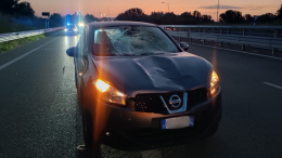 Terribile incidente nella notte: monopattino travolto da un'auto, un giovane muore sul colpo