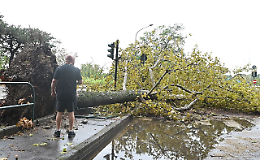 Tetti scoperchiati, alberi abbattuti, allagamenti:  la bufera che si è abbattuta su Torino in 20 foto