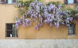 A Torino c'è un posto dove il tempo sembra essersi fermato. E molti torinesi neanche  lo conoscono...