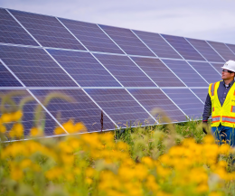 Energia, c'è anche un po' di Torino nel maxi parco solare in Nuova Zelanda