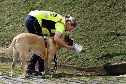 A caccia di persone scomparse: due giorni con i cani molecolari