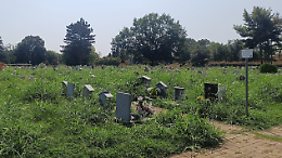 Alberi crollati e tombini otturati: «Ho tagliato l'erba vicino alla tomba di mia moglie»