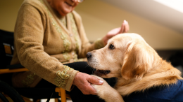 La pet therapy ritorna nelle Rsa di Torino