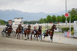 Vinovo, una giornata di trionfi e sorprese all'ippodromo