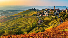 "Express Langhe-Monferrato": un viaggio notturno tra paesaggi unici 