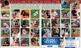 Ecco gli amici piu’ fedeli dei nostri lettori