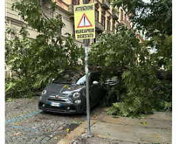 Maltempo e forte vento in città, un albero cade sulle auto parcheggiate