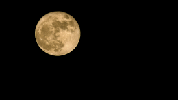 Superluna ed eclissi parziale: tutti con il naso all'insù