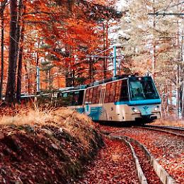 Il 'Treno del Foliage' torna in Piemonte: un'esperienza indimenticabile tra i magici colori dell'autunno