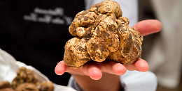 In Piemonte un circuito di fiere per gustare il tartufo bianco