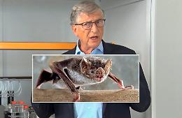 Il virus si chiama Nipah e viene trasmesso dai pipistrelli, ecco quali sono i sintomi
