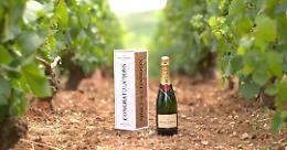 La classifica dei brand di vino più preziosi al mondo: domina LVMH, Italia fuori dalla top ten