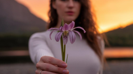 Il giglio dei boschi: storia di un fiore in via d'estinzione