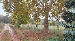 Rinasce l’ex vivaio municipale Regio Parco: da rifugio abbandonato a centro di educazione ambientale