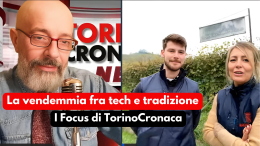 Tempo di vendemmia per il Nebbiolo, ecco che vini avremo (e perché valgono 1,5 miliardi)