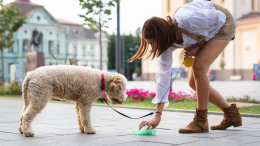 Chieri avvia un progetto pilota per il decoro urbano: guardie ambientali in azione per una città più vivibile
