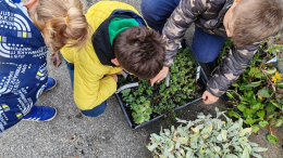 Rivalta: i "piccoli giardinieri" della scuola primaria Gandhi 