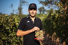 Vino, la Freisa pinerolese è la migliore del mondo: medaglia d'oro al mondiale dei vini estremi