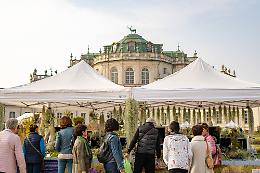 Stupinigi in verde per "Floreal 2024"