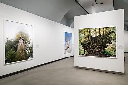 L'America tra bellezza e distruzione: la fotografia di Mitch Epstein