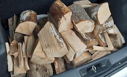 Energia, 8mila tonnellate di polveri: «E’ l’impatto di legno e pellet» 