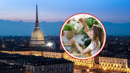 Torino è inquinata? Queste 5 piante possono purificare l'aria del tuo appartamento