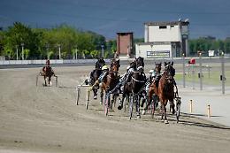 Flash Rouge torna in pista, Guardami al debutto: all'ippodromo di Vinovo un mercoledì all'insegna delle novità