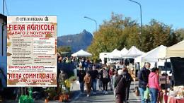 Avigliana celebra la tradizione agricola e commerciale con due fiere imperdibili