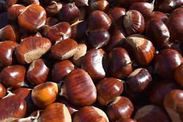 Un fine settimana tra kiwi e castagne