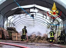 «È un incubo, è la terza volta che ci danno fuoco»: lo sfogo degli agricoltori colpiti dai piromani