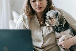 Adottare un cane sui social: quando un post ti cambia la vita