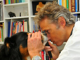 Morto al Cto il veterinario dei vip di Torino: era caduto dopo un incidente in bicicletta
