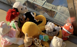 I peluche? Fanno la nanna al Castello di Rivoli