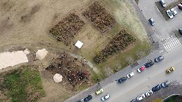 Torino sempre più green: 400 nuovi alberi per il parco Stura grazie a Tim e Rete Clima