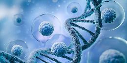 Malattia di von Hippel-Lindau: il nemico silenzioso che minaccia la vita