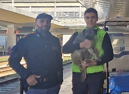 Torino, la polizia salva un cagnolino in stazione
