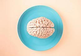 Decifrare il cervello: la nuova sfida di neuroscienze e AI