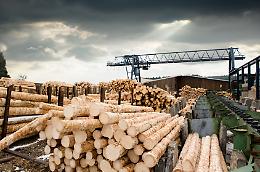 Le industrie del legno sono in salute, in Piemonte sono 3.500 