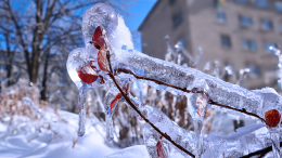 Meteo, gelicidio su Piemonte e Valle d'Aosta: strade chiuse. E per l'Immacolata...