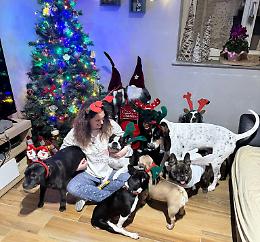 Adottare un cane anziano: la storia di Jessica e dei suoi amici a quattro zampe