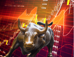 2025: le stelle (e i numeri) dicono Toro. Focus su export e 2.0