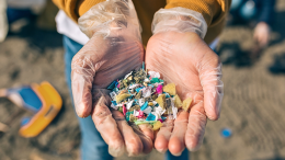 Microplastiche dal Po al nostro cibo. Il grande fiume è inquinato, a Torino i dati peggiori 