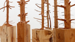 Arte, architettura e musica: la Fondazione Ferrero celebra Giuseppe Penone