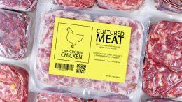 Carne coltivata: scienza ed etica prima dei divieti