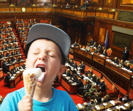Dai 100.000 euro per il gelato al bonus elettrodomestici: cosa c'è nella legge di Bilancio
