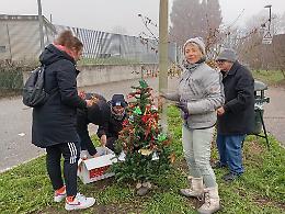 Torino, rubano gli alberi di Natale e Gesù Bambino dal presepe