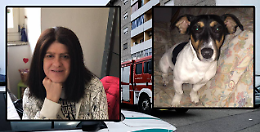 Angela e il cagnolino Kira, ecco la donna e il Jack Russell morti nell'incendio