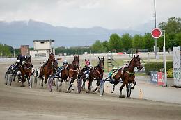 All'Ippodromo di Vinovo finale d'anno col botto: c'è la Maratonina d'Inverno, ecco i favoriti